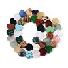 Natural & Synthetic Mixed Stone Beads Strands G-T142-73-2