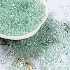Glass Seed Beads SEED-L011-05B-14-1