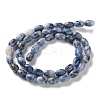 Natural Blue Spot Jasper Beads Strands G-I369-B01-01-3