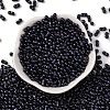 Baking Paint Glass Seed Beads SEED-L011-12A-06-2