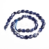 Natural Sodalite Beads Strands G-E560-L01-2