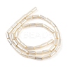 Electroplated Natural Freshwater Shell Beads Strands BSHE-G036-23-2