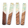 Transparent Resin & Walnut Wood Big Pendants WOOD-G018-12E-1