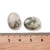 Natural Peace Jade Cabochons G-G145-01B-55-3