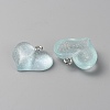 Transparent Resin Pendants FIND-WH0152-330A-02-2