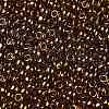 TOHO Round Seed Beads X-SEED-TR08-0421-2