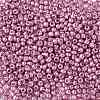 8/0 Glass Seed Beads X-SEED-A017-3mm-1110-2