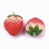 Resin Pendants X-RESI-T028-24-2