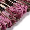 10 Skeins 6-Ply Polyester Embroidery Floss OCOR-K006-A77-2