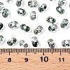 Spray Painted with Glitter Powder Glass Seed Beads SEED-T007-09C-4