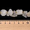 Raw Rough Natural Quartz Crystal Beads Strands G-Z087-A12-5