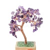 Heart Money Tree Natural Amethyst Bonsai Display Decorations DJEW-G027-16RG-01-4
