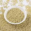 MIYUKI Round Rocailles Beads X-SEED-G008-RR0578-3