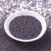MIYUKI Round Rocailles Beads SEED-G007-RR1013-2