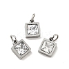 304 Stainless Steel Pendants STAS-D189-01P-B16-1