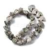 Natural Peace Jade Beads Strands G-F783-G08-01-5