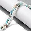 Natural Howlite Beads Strands G-G001-A03-08-2