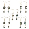 Natural Paua Shell Dangle Earrings for Women EJEW-JE07077-3