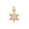 Brass Micro Pave Cubic Zirconia Charms LS-KK-H077-02G-05-1