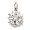 Rack Plating Brass Micro Pave Cubic Zirconia Charms KK-I720-37P-1