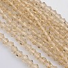 Bicone Glass Beads Strands LS-EGLA-P016-3mm-12-1