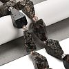 Natural Snowflake Obsidian Beads Strands G-NH0005-B03-01-2