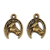 Tibetan Style Alloy Pendants LS-TIBE-B003-19AB-1