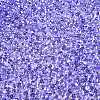 6/0 Baking Paint Transparent Fringe Glass Seed Beads X1-SEED-N006-06I-3