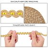 Nylon Braided Lace Ribbon SRIB-WH0006-25C-4