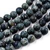 Frosted Natural Kambaba Jasper Beads Strands G-M272-14-6mm-3