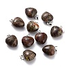 Natural Rhyolite Jasper Pendants G-I311-A27-1