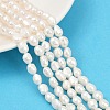 Natural Cultured Freshwater Pearl Beads Strands PEAR-P064-20I-05A-1