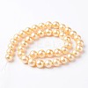 Round Wrinkled Shell Pearl Bead Strands BSHE-E006-8mm-M-3