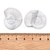Shell Food Grade Eco-Friendly Silicone Focal Beads LS-SIL-CJC0009-02F-4