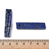 Natural Lapis Lazuli Pendants G-D350-03B-3