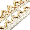 Polyester Curtain Lace Trimmer Ribbon DIY-WH0292-85A-1