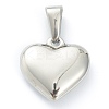 304 Stainless Steel Pendants STAS-P278-01B-P-2