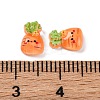 Cartoon Transparent Resin Cabochons CRES-R459-01C-3