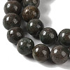 Natural Red Green Jasper Beads Strands G-P530-B03-04-3