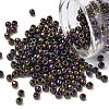 TOHO 6/0 Round Beads X-SEED-TR06-0085-1
