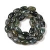 Natural Moss Agate Beads Strands G-Q194-B03-01-3