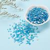Glass Seed Beads X-SEED-S059-004-6