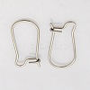 316 Surgical Stainless Steel Hoop Earrings STAS-N019-08-1
