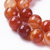 Natural Striped Agate/Banded Agate Beads Strands G-G582-10mm-59-3