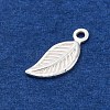 925 Sterling Silver Charms STER-D301-04S-04-2