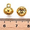 Tibetan Style Alloy Charms FIND-C060-065AG-3