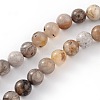 Natural Bamboo Leaf Agate Round Bead Strands X-G-M248-6mm-04-1