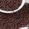 MIYUKI Round Rocailles Beads X-SEED-G008-RR4520-1
