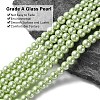 Eco-Friendly Dyed Glass Pearl Beads Strands HY-A008-6mm-RB005-2