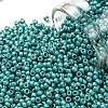TOHO Round Seed Beads SEED-XTR11-0569F-1